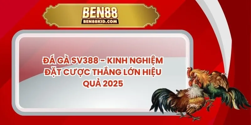 Đá Gà Sv388 - Kinh Nghiệm Đặt Cược Thắng Lớn Hiệu Quả 2025