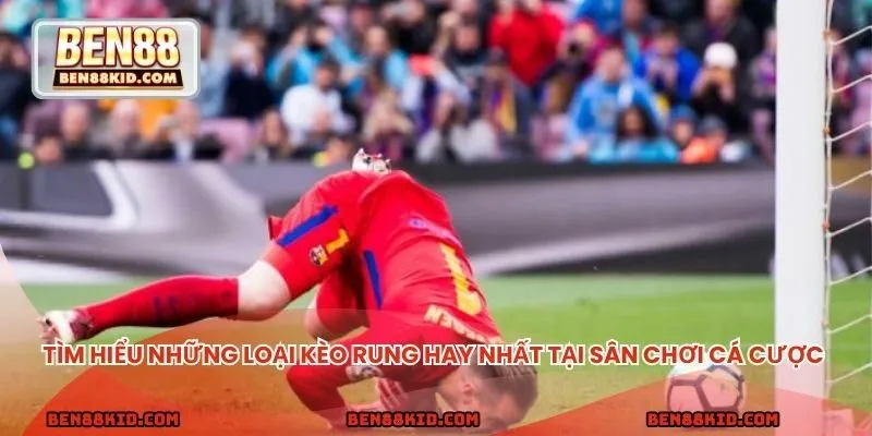 Tìm hiểu những loại kèo rung hay nhất tại sân chơi cá cược