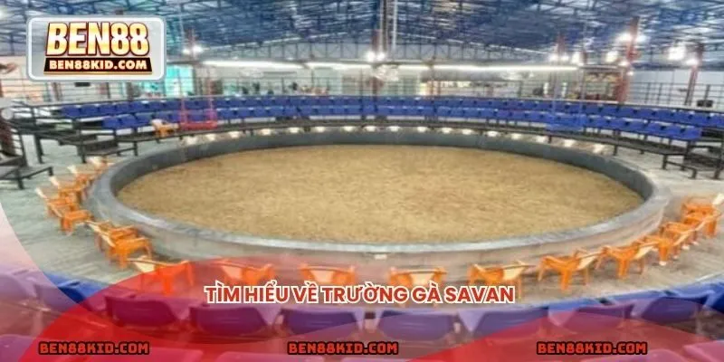Tìm hiểu về trường gà Savan