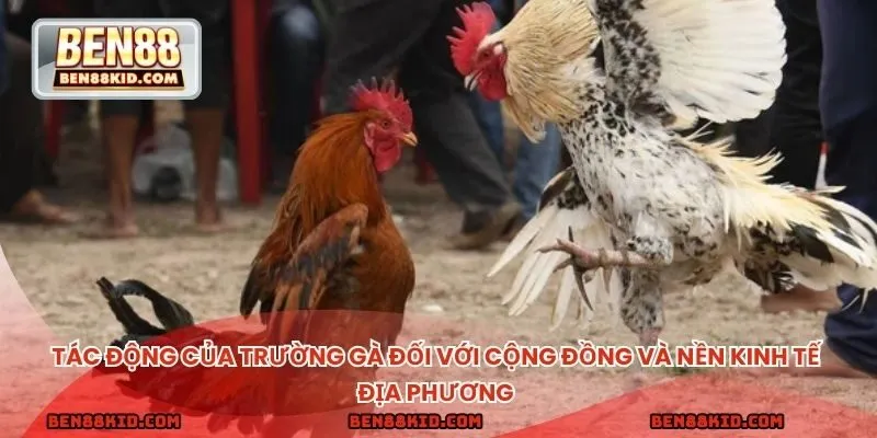 Tác động của trường gà đối với cộng đồng và nền kinh tế địa phương