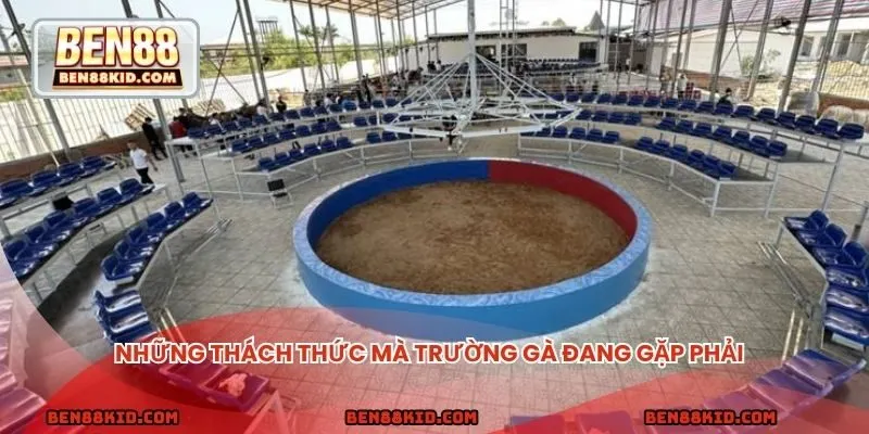 Những thách thức mà trường gà đang gặp phải